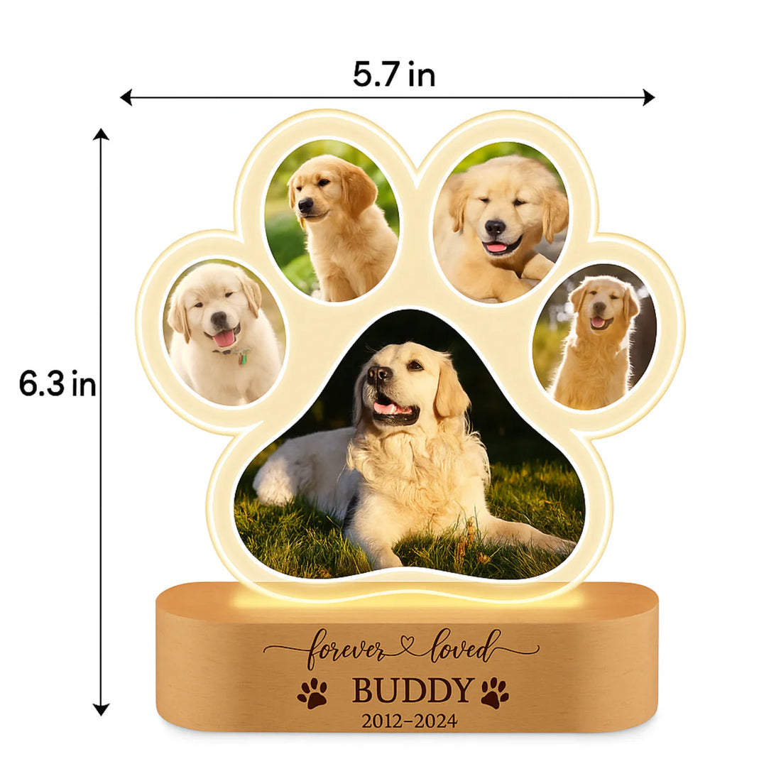 EternalPaws™ Personalized Pet Paw Lamp